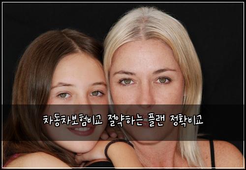 차동차보험비교 절약하는 플랜 정확비교