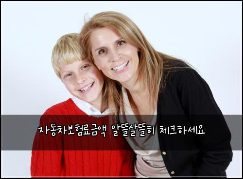 자동차보험료금액 알뜰살뜰히 체크하세요