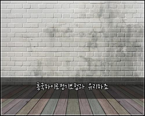 흥국하이로정기보험과 유리하죠