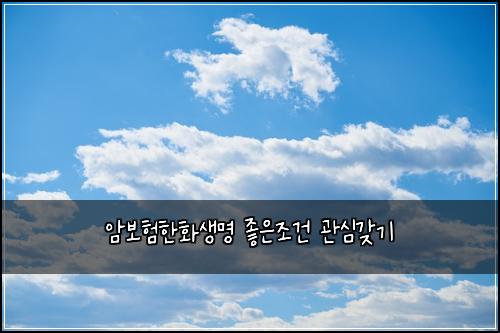 암보험한화생명 좋은조건 관심갖기