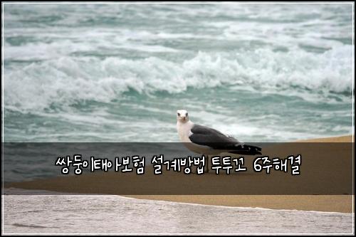 쌍둥이태아보험 설계방법  투투꼬 6주해결
