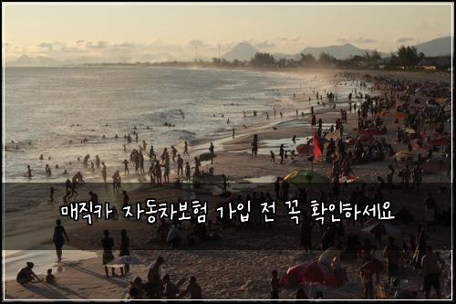 매직카 자동차보험 가입 전 꼭 확인하세요