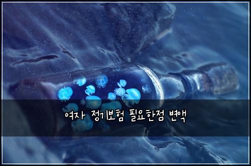 여자 정기보험 필요한점  변액