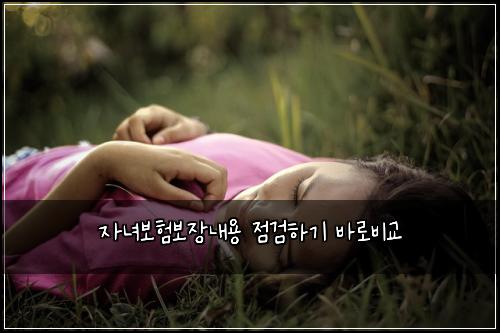 자녀보험보장내용 점검하기 바로비교