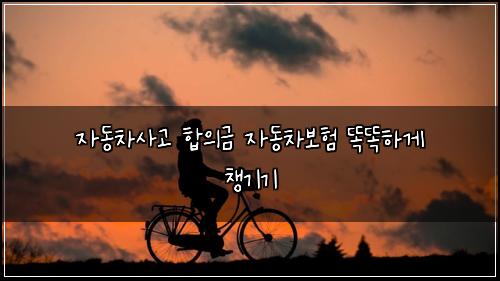 자동차사고 합의금 자동차보험 똑똑하게 챙기기