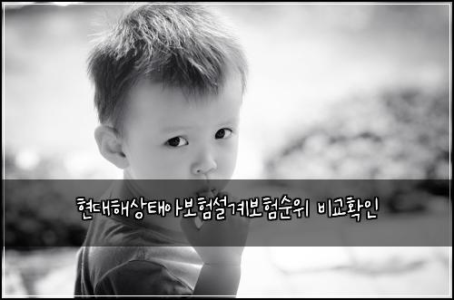 현대해상태아보험설계보험순위 비교확인