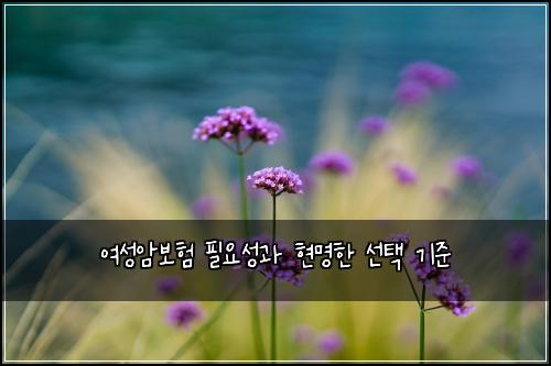여성암보험 필요성과 현명한 선택 기준