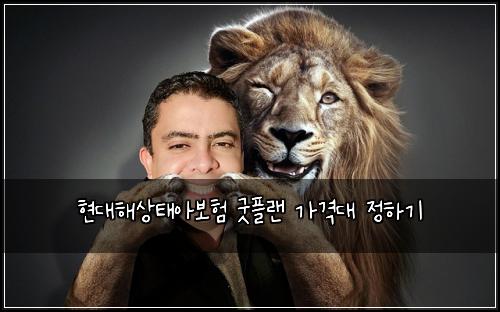 ํ๋ํด์ํ์๋ณดํ ๊ตฟํ๋ ๊ฐ๊ฒฉ๋ ์ ํ๊ธฐ