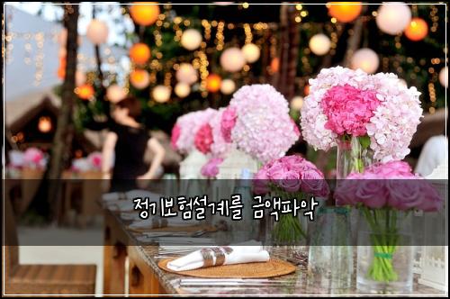 정기보험설계를 금액파악