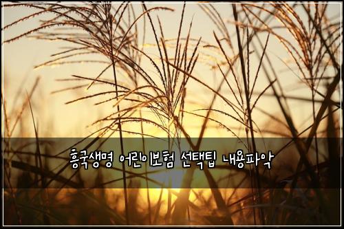 흥국생명 어린이보험 선택팁  내용파악