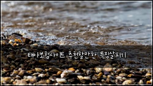 태아보험사이트 추천할만한 특징살피기