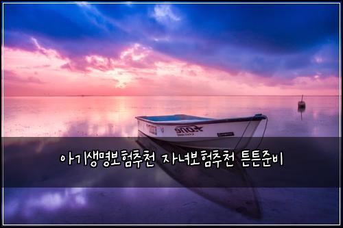 ์๊ธฐ์๋ช
๋ณดํ์ถ์ฒ ์๋
๋ณดํ์ถ์ฒ ํผํผ์ค๋น