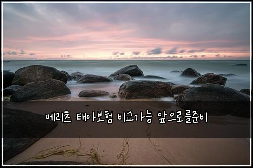 메리츠 태아보험 비교가능  앞으로를준비