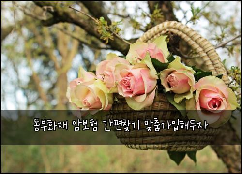 동부화재 암보험 간편찾기  맞춤가입해두자