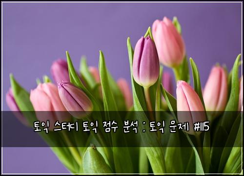 토익 스터디 토익 점수 분석 : 토익 문제 #115