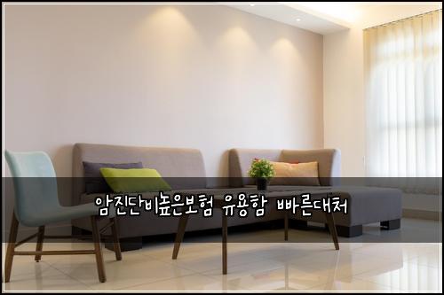 암진단비높은보험 유용함  빠른대처