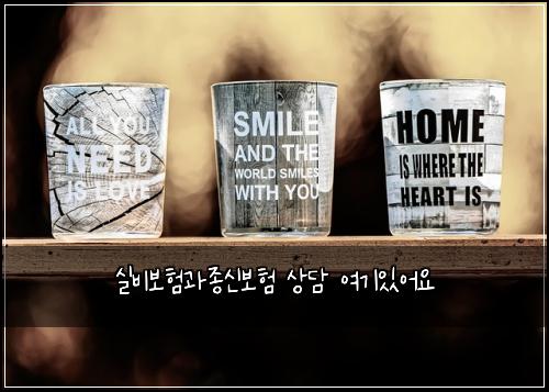 실비보험과종신보험 상담 여기있어요
