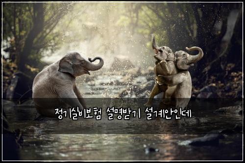 정기실비보험 설명받기  설계안인데