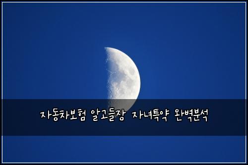 자동차보험 알고들장  자녀특약 완벽분석