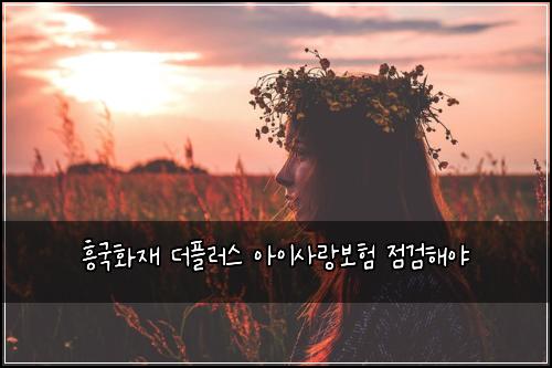 흥국화재 더플러스 아이사랑보험 점검해야 