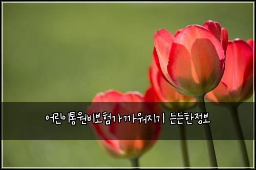 어린이통원비보험가까워지기 든든한정보