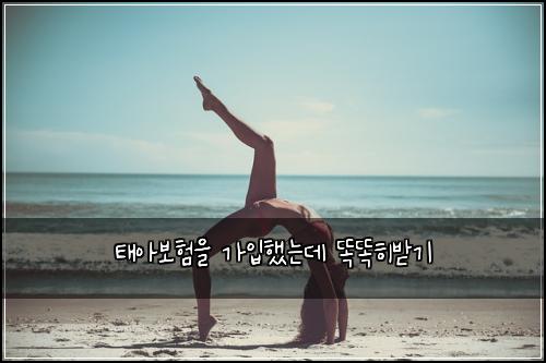 태아보험을 가입했는데 똑똑히받기