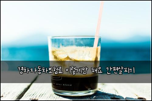 경차자동차보험료 이렇게만 해요 간편살피기