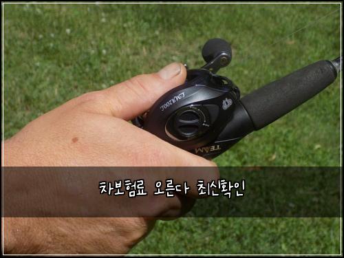 차보험료 오른다 최신확인