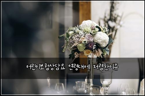 어린이보험상담요 연령대에 저렴한이유