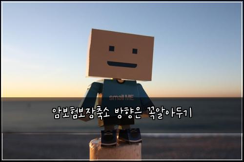 ์๋ณดํ๋ณด์ฅ์ถ์ ๋ฐฉํฅ์ ๊ผญ์์๋๊ธฐ