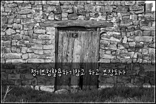 정기보험활용하기참고 하고 보장되나