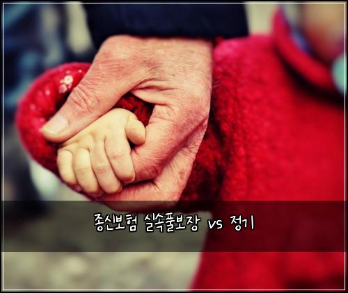 종신보험 실속풀보장  vs 정기