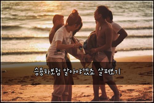 승용차보험 알아야겠죠  살펴보기