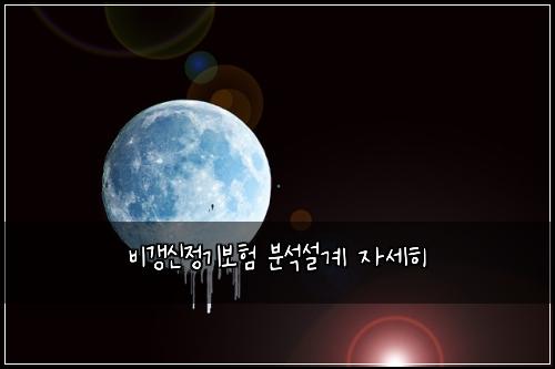 비갱신정기보험 분석설계  자세히