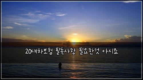 20대차보험 필독사항  필요한것 아시죠