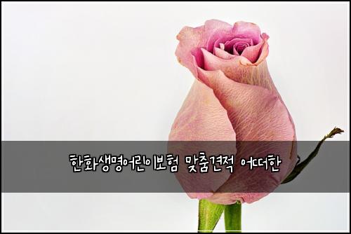 한화생명어린이보험 맞춤견적  어떠한
