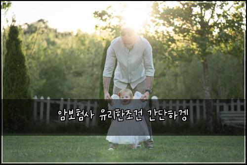 암보험사 유리한조건 간단하겡