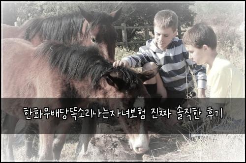 한화무배당똑소리나는자녀보험 진짜 솔직한 후기