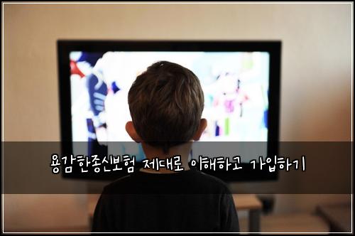 용감한종신보험 제대로 이해하고 가입하기
