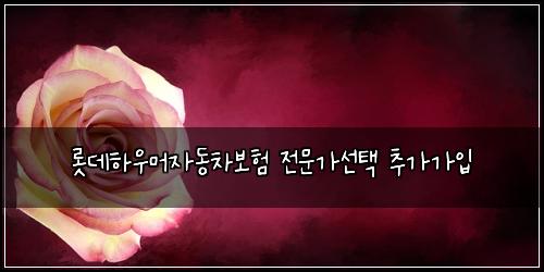롯데하우머자동차보험 전문가선택  추가가입