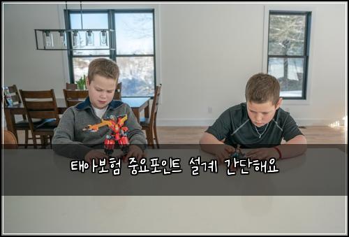 태아보험 중요포인트  설계 간단해요