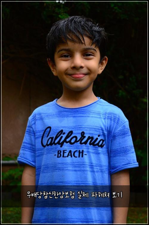 무배당참신한암보험 실체 파헤쳐 보기