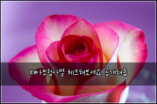 태아보험사별 체크해보세요 공개해욥