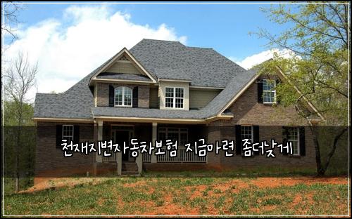 천재지변자동차보험 지금마련  좀더낮게