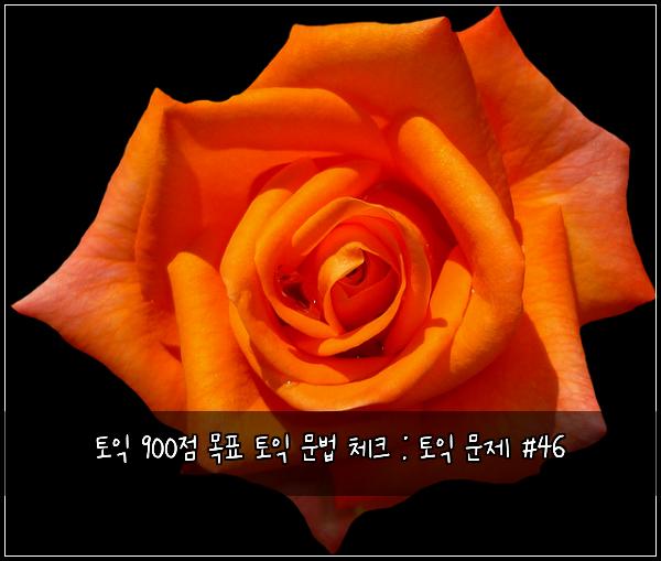 토익 900점 목표 토익 문법 체크 : 토익 문제 #46