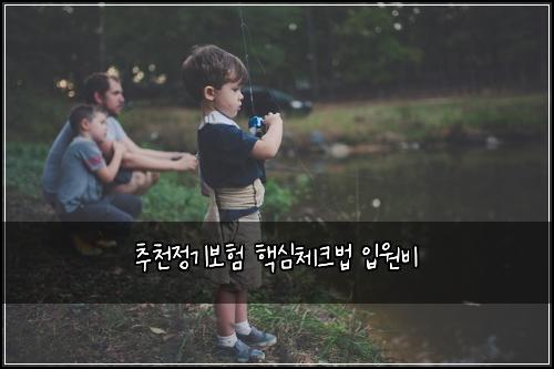 추천정기보험 핵심체크법  입원비