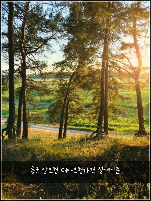 흥국 암보험 태아보험가격 설계기준