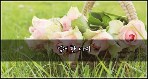 영어 한 마디