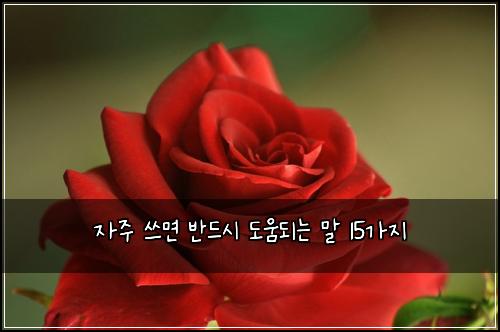์์ฃผ ์ฐ๋ฉด ๋ฐ๋์ ๋์๋๋ ๋ง 15๊ฐ์ง