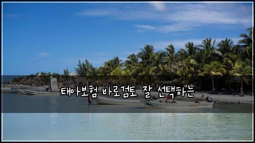 ํ์๋ณดํ ๋ฐ๋ก๊ฒํ ์ ์ ํํ๋